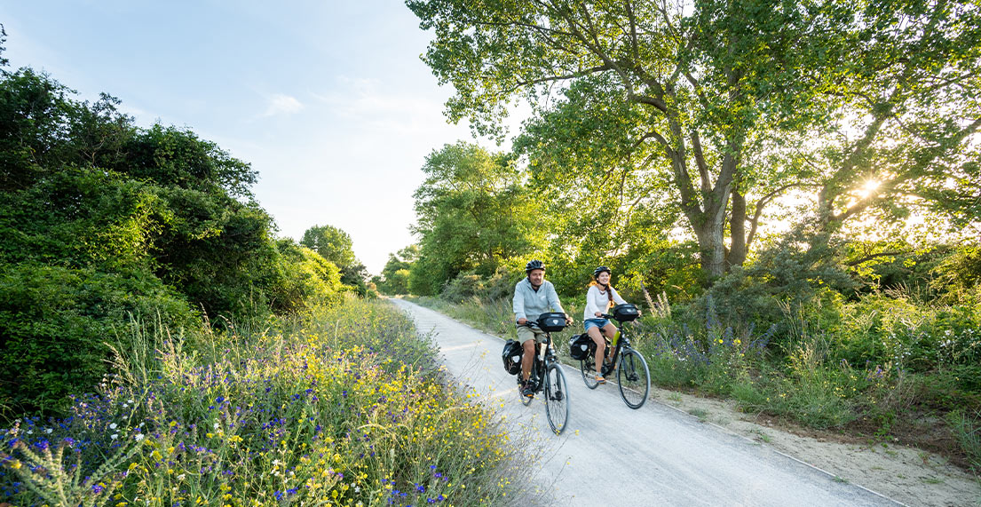 Un couple de cyclotouristes roule sur un chemin blanc entouré par la campagne verte