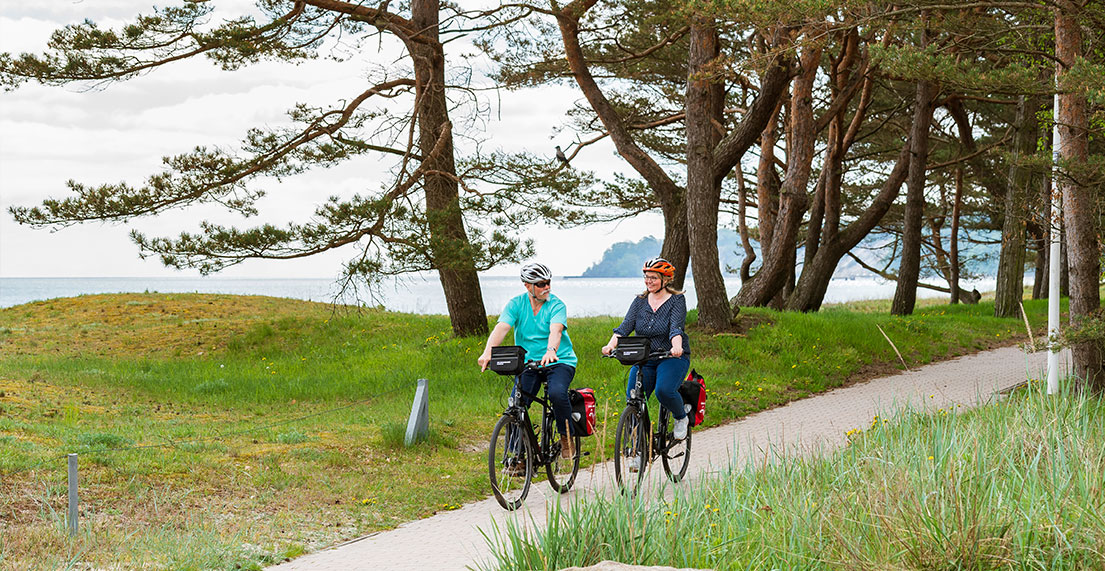 Un couple de cycliste roule sur une piste cyclable entouré de foret de pins